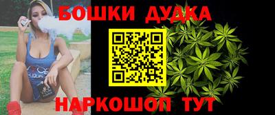 мдпв Долгопрудный