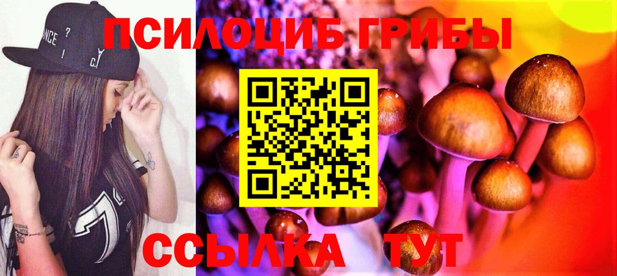 Галлюциногенные грибы мухоморы Вязьма